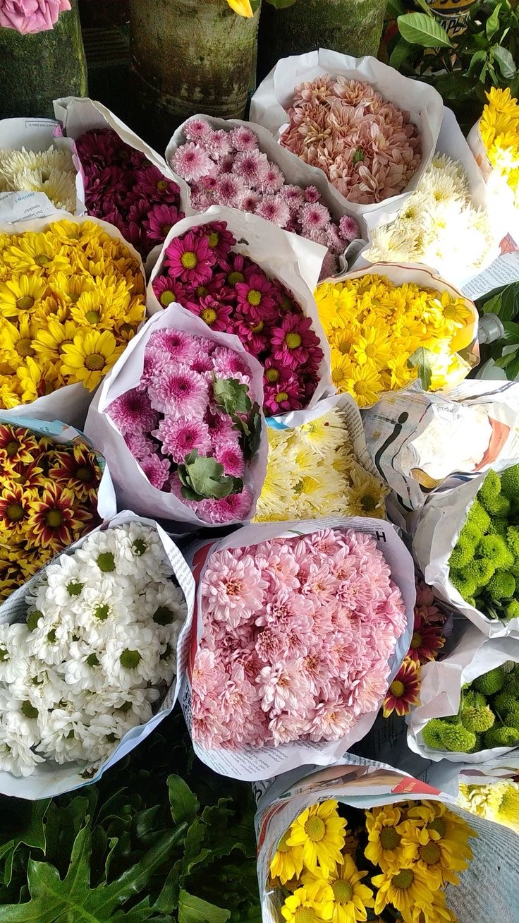 Kenapa Harus Pilih Buket Bunga Segar, Bukan Artificial? 🌸✨